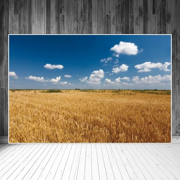 Уборочное поле, пейзажные фоны для фотосъемки, украшение сельской фермы, Пшеница, облака, небо, пользовательские фотозоны, фотографические фоны